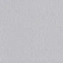 White/gray