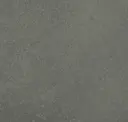 Carbon