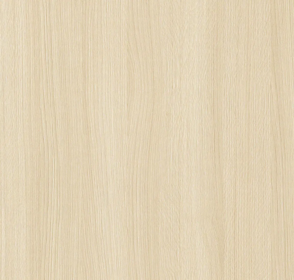 Main