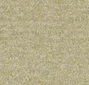 European Greenfinch