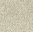 Ostrea