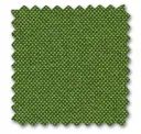 Grass Green/forest
