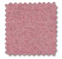 Pale Rose