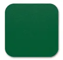 Emerald Re