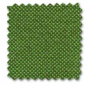 Grass-Green/forest