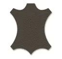 Umbra Grey