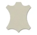 Clay
