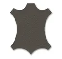 Umbra Grey