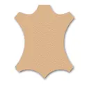Cashew