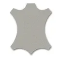 Cement