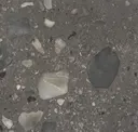 Coal