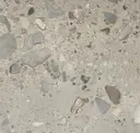 Ash