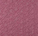 Cranberry