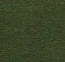Kashmir