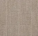 Sun Brown
