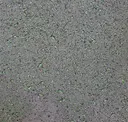 Asparago