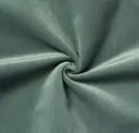 Pale Aqua Green