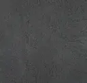 Black Silver