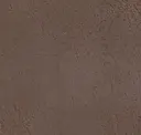 Brown Silver