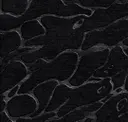 Charcoal