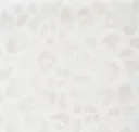 Pan001