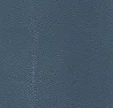 Sha 08