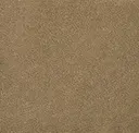 Avena