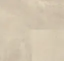 Stone Nemesis