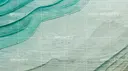 Seaweed