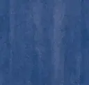 Regal Blue