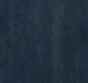 Serene Navy