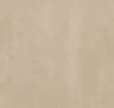 Tan Essence