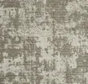 Velum