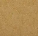 503