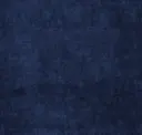 101