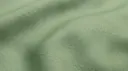 Palm Leaf