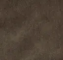 106