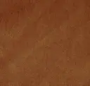 303