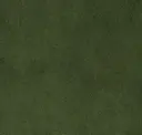 509