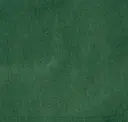 521