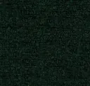 Planet Green