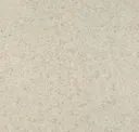 Vanilla Bean