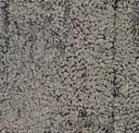 Siltstone