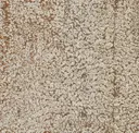 Claystone