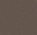 Burnt Umber