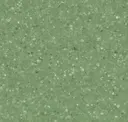 Verbena