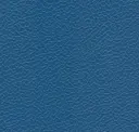 Regatta