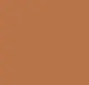 Hues Of Orange
