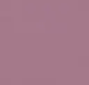 Hues Of Rose