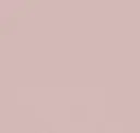 Monochrome Pale Rose